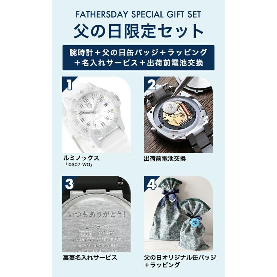 父の日 ギフトセット ルミノックス レザーバック シータートル 0300 シリーズ クォーツ 電池式 腕時計 ブランド メンズ LUMINOX 0307.WO アナログ ホワイト 白の画像
