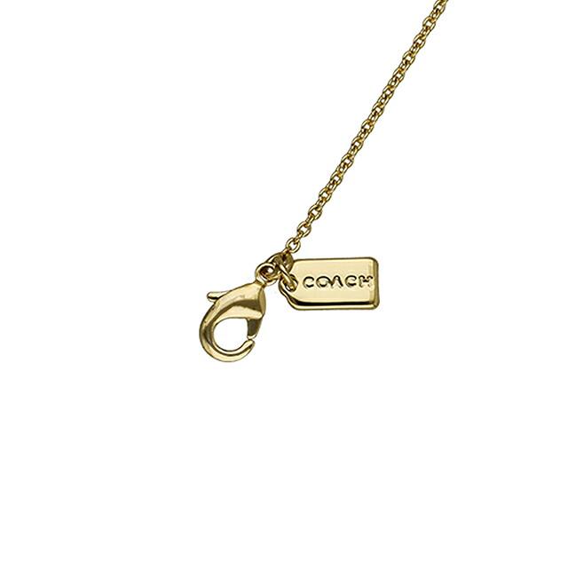COACH（コーチ） ネックレス ピアス セット レディース ブランド COACH 