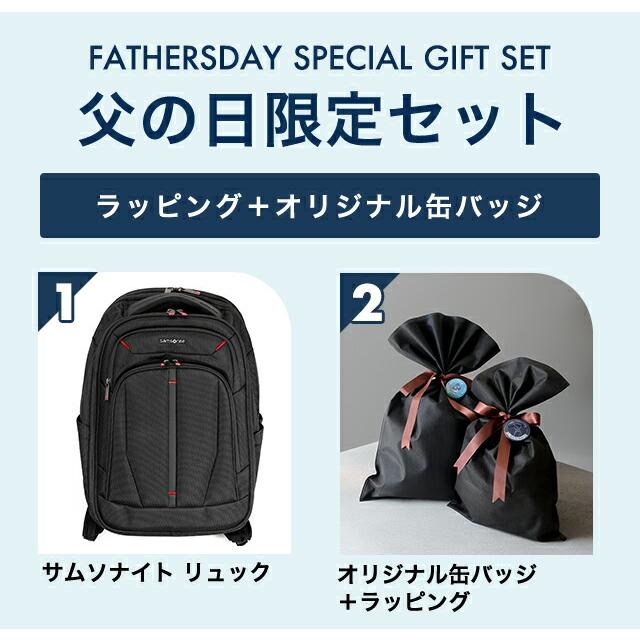 2つセットでの販売になります！ よろしくお願いします！！ Samsonite（サムソナイト） リュック メンズ Samsonite XENON 4.0