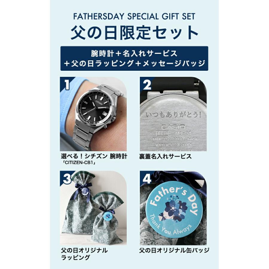 父の日 ギフトセット シチズン コレクション ダイレクトフライト 腕時計 ブランド メンズ チタン 電波ソーラー CITIZEN COLLECTION 日本製 選べるモデルの画像
