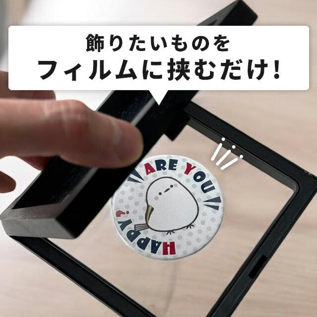 コレクション ケース ディスプレイスタンド アクリルキーホルダー ラバーストラップ ディスプレイ ケース 展示 ホルダー 黒 | ブランド登録なし | 01