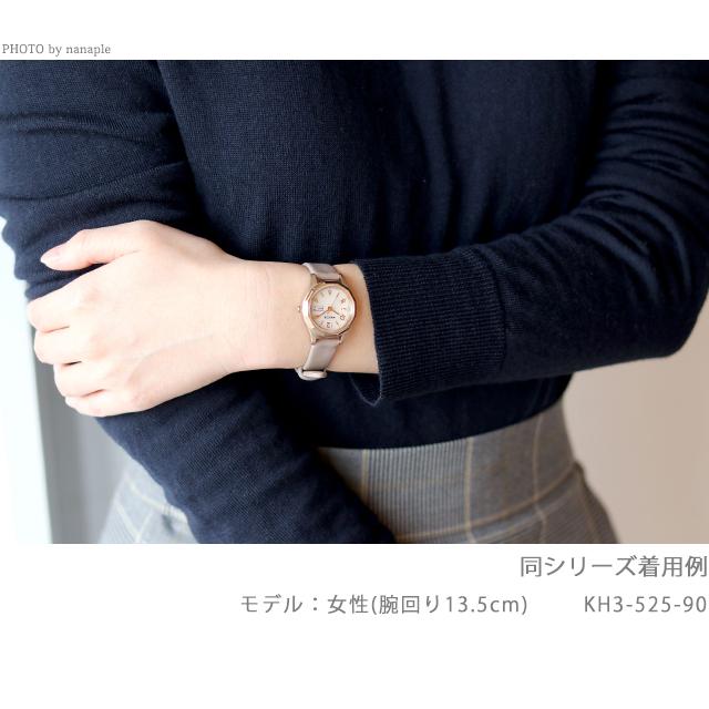 シチズン ウィッカ エコドライブ ソーラー テック デイ＆デイト限定