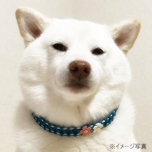 ワンコチョーカー【サクラ／太タイプ】超小型犬用｜nanarin-house｜02