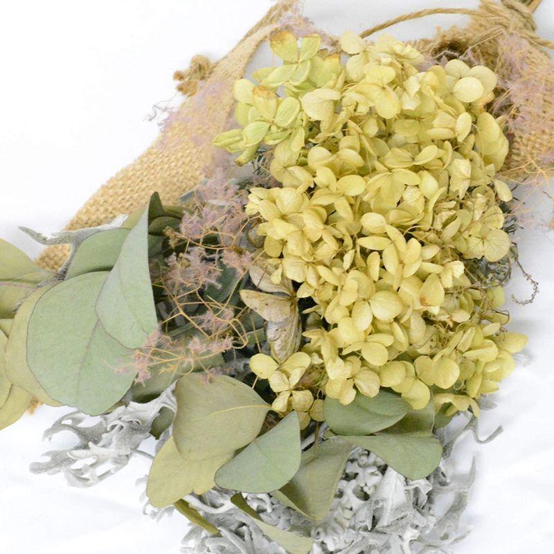 Lulu S ルルズ アナベルとスモークツリーのスワッグ ガーランド ナチュラル ドライフラワー サイズ 高さ約30cm 幅約cm 奥行 ハーバリウム Royaldiamondlabradoodles Com