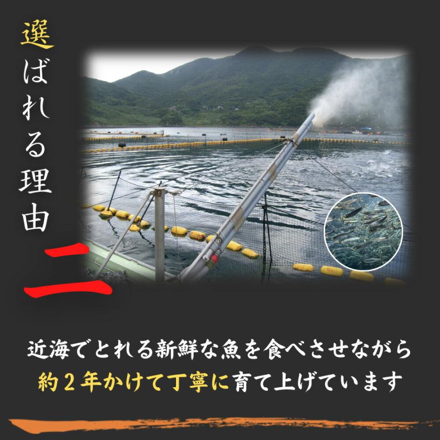 【化粧箱なし割引】最優秀賞受賞 黒潮本まぐろ 赤身 500g 高知 土佐 大月町 冷凍 養殖 本鮪 黒鮪 マグロ 丼 刺身 寿司 ギフト プレゼント 自宅用 お中元 御中元｜nanawa｜05