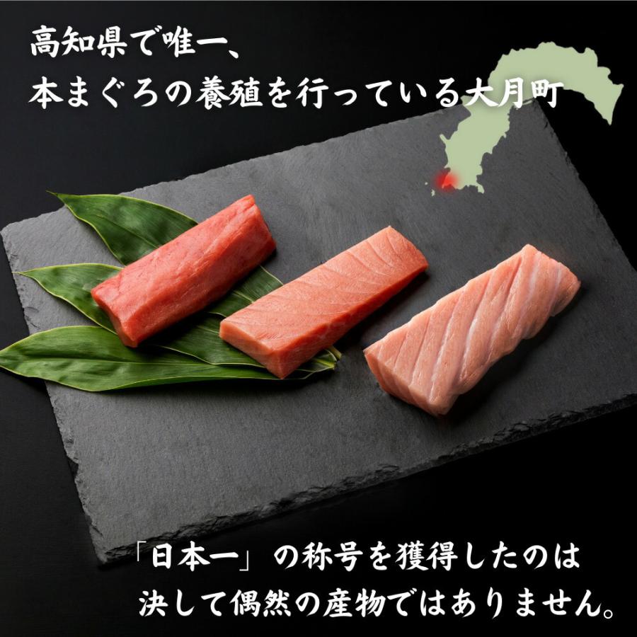 最優秀賞受賞 黒潮本まぐろ 大トロ 300g 高知 土佐 大月町 冷凍 養殖 本鮪 黒鮪 マグロ 丼 刺身 寿司 ギフト プレゼント 化粧箱 ...