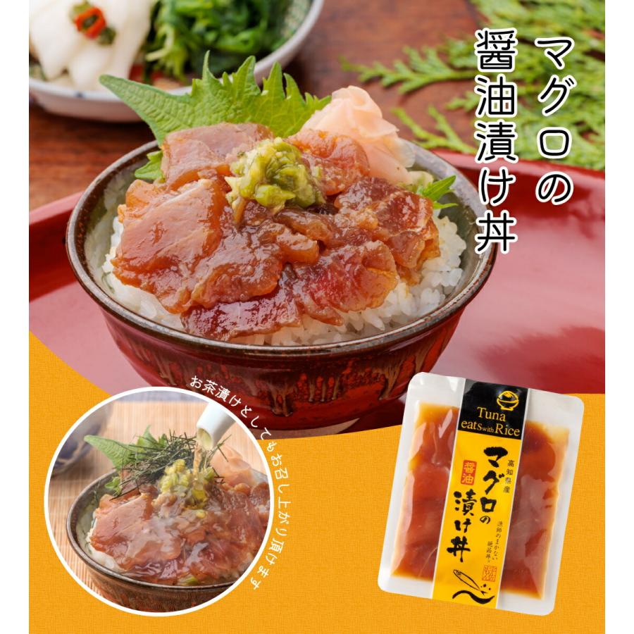 魚の漬け丼セット（5種×各1パック）5食分 送料無料 高知 宇佐もん工房