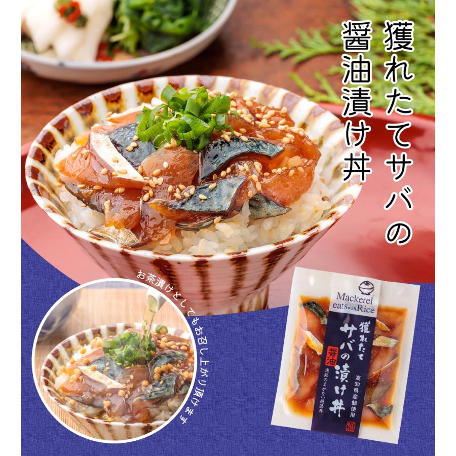 魚の漬け丼セット（4種×各1パック）4食分 送料無料 高知 宇佐もん工房