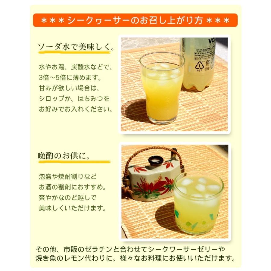 シークワーサーさま確認用 imgrc0109256928.jpg