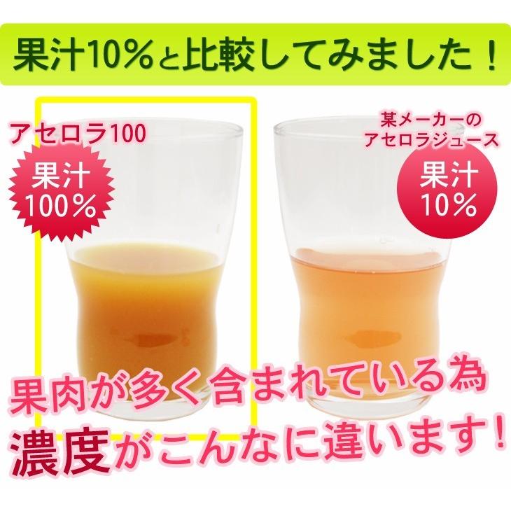 アセロラ100 500ml 果汁100％ : 沖縄百貨店七屋 - 通販 - Yahoo