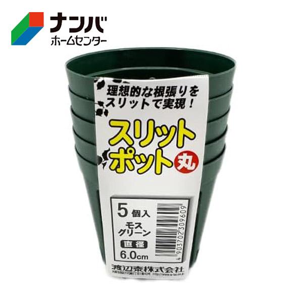 渡辺泰】鉢 プラ鉢 育苗 スリットポット 5個入【丸 直径6.0cm モス