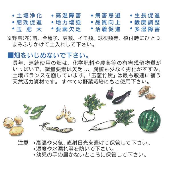 サングリーンオリエント】肥料 玉葱竹炭【 300g 】 : ナンバYahoo店