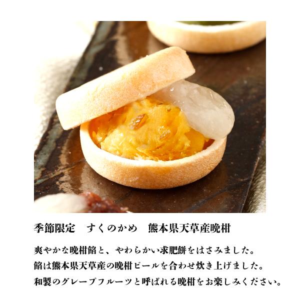 和菓子 「すくのかめ24個入」詰め合わせ もなか 福岡 お土産 さかえ屋