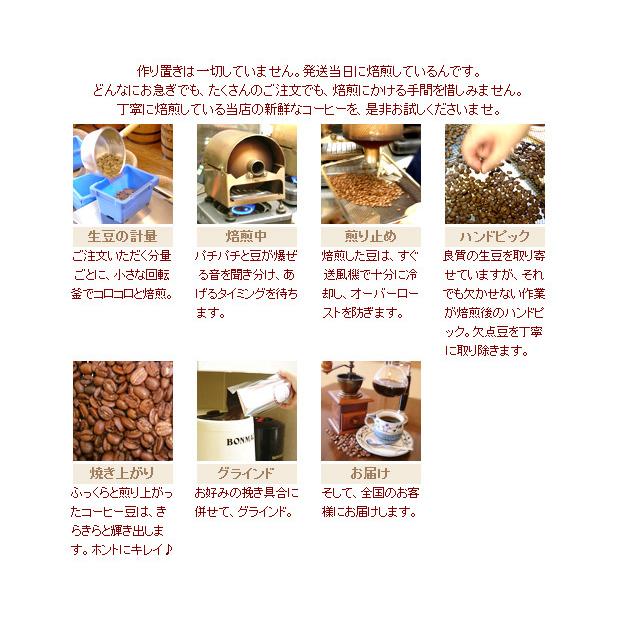 エメラルドマウンテン(焙煎豆200g) 焙煎したて : 南部珈琲 - 通販