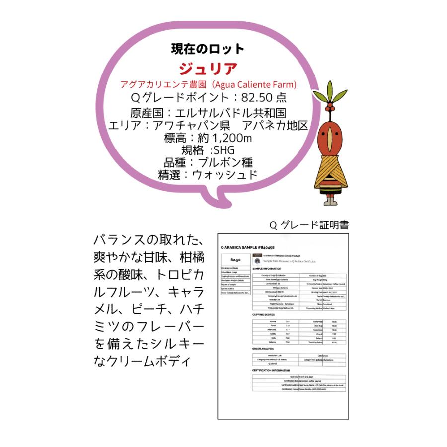 エル サルバドルSHG(焙煎豆200g) 焙煎したて |  | 01