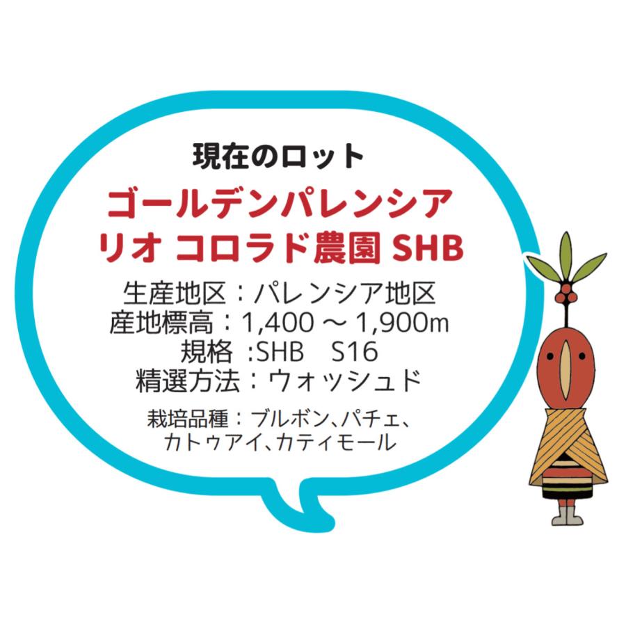 グァテマラSHB(生豆500g) |  | 01