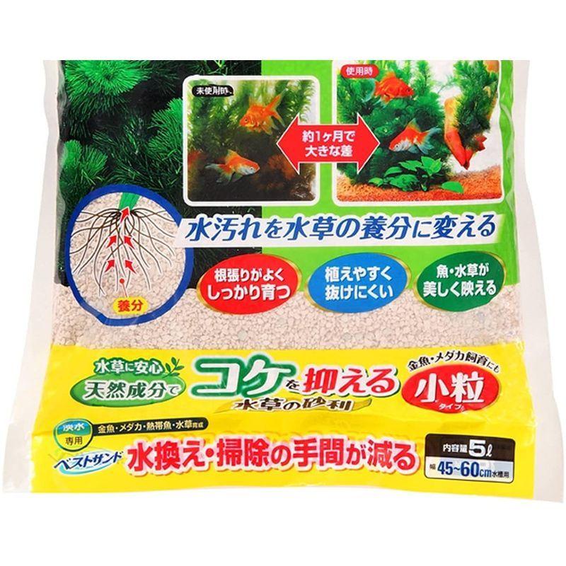 全日本送料無料 ジェックス ベストサンド 水草の砂利 5l 新品本物 Turningheadskennel Com