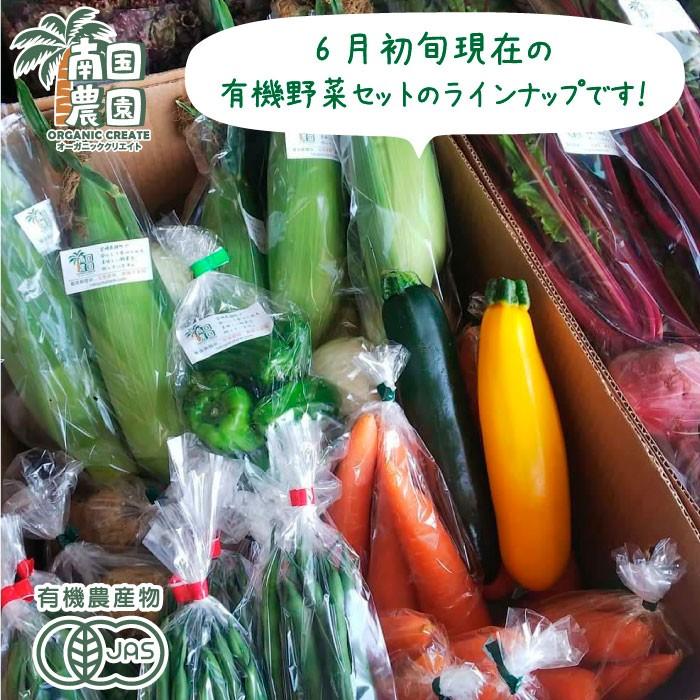 旬のこだわり有機野菜おまかせ10種セット!送料無料! 有機農家直送 産地直送 新鮮 宮崎県綾町産｜nangokunouen｜02