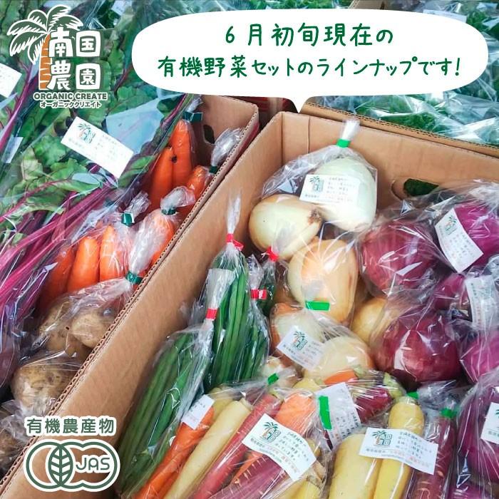 旬のこだわり有機野菜おまかせ10種セット!送料無料! 有機農家直送 産地直送 新鮮 宮崎県綾町産｜nangokunouen｜03