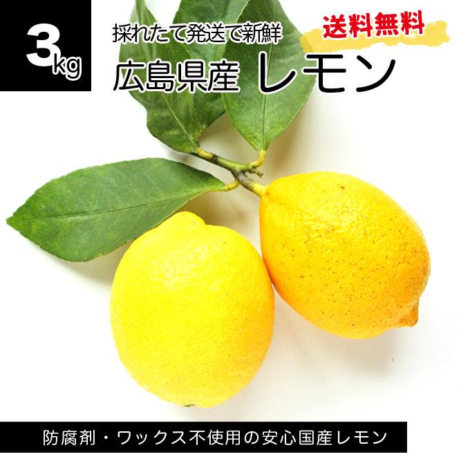 ふじたファームの瀬戸内レモン ３kg 国産減農薬レモン　広島県産　採れたて発送　送料無料　訳あり｜nanico