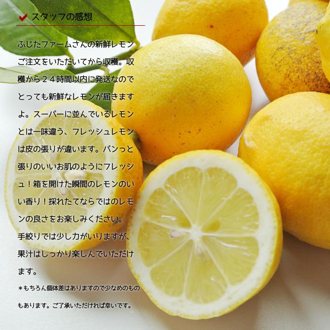 ふじたファームの瀬戸内レモン 5kg 国産減農薬レモン 広島県産 採れた
