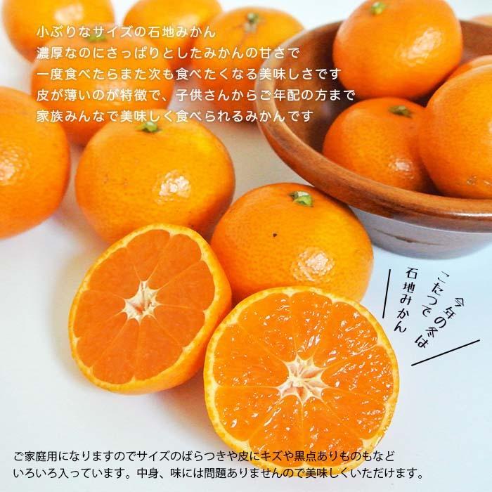 健ちゃんファームの石地みかん 超小玉 3Sサイズ 3kg 広島県産 3S