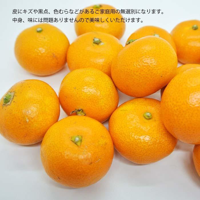 健ちゃんファームの石地みかん 超小玉 3Sサイズ 3kg 広島県産 3S