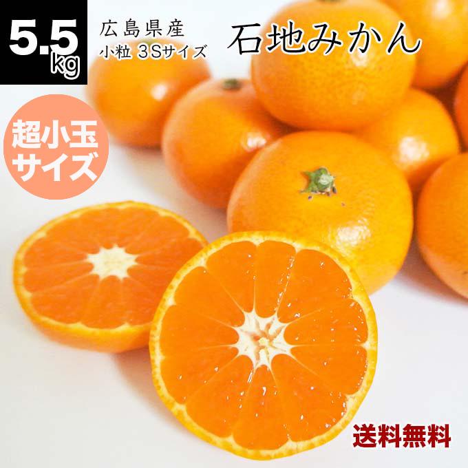 健ちゃんファームの石地みかん 超小玉 3Sサイズ 5.5kg 広島県産 3S