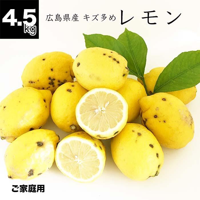 健ちゃんファームの訳あり夏のレモン キズ多め 広島県産 4.5kg 健ちゃんファームの訳あり夏のレモン キズ多め 広島県産 4.5kg