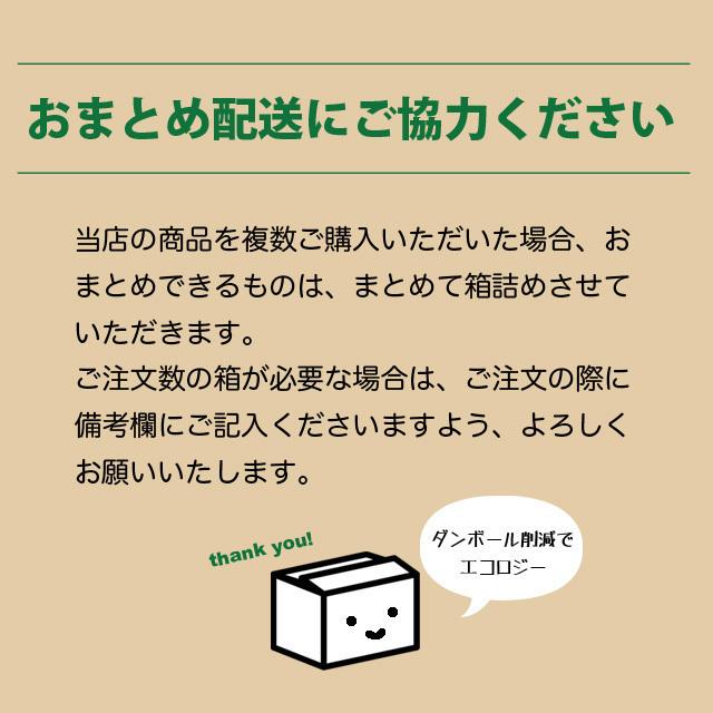 健ちゃんファームの訳あり夏のレモン キズ多め 広島県産 4.5kg 国産