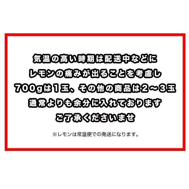 1360円 最大88%OFFクーポン 正規代理店 ユニコ UNICO エンピシン 円皮鍼 1360円 最大88%OFFクーポン 正規代理店 ユニコ UNICO エンピシン 円皮鍼