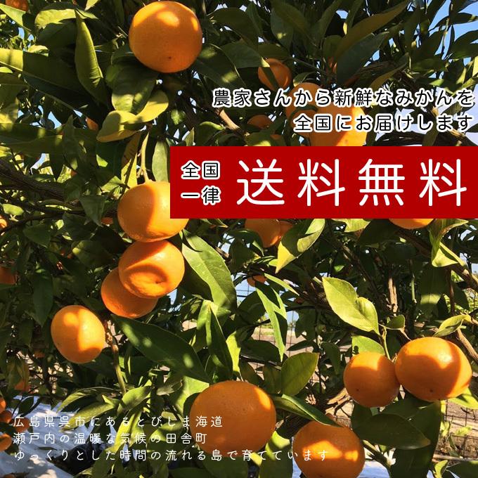 お試しパック！ オトメさんの石地みかん（小玉）1kg 送料無料 広島県産