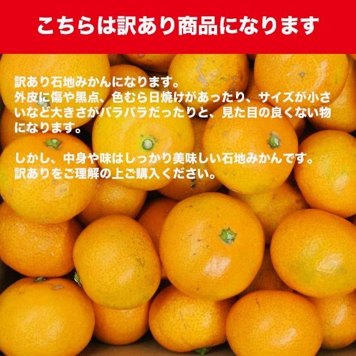 東広島市内配送無料】わけあり 石地みかん 30キロ