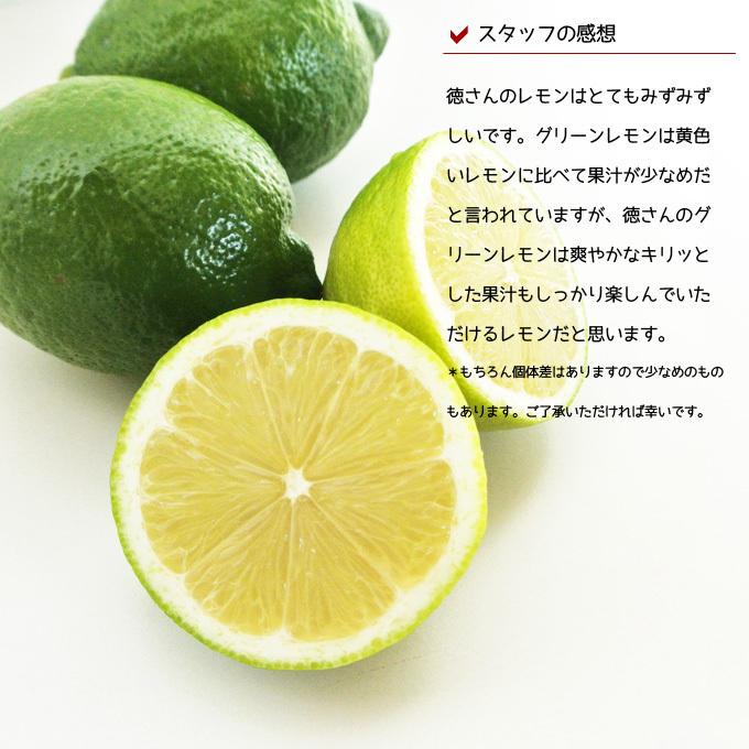 広島県産　徳さんのグリーンレモン2kg 国産レモン　送料無料　減農薬訳あり｜nanico｜03