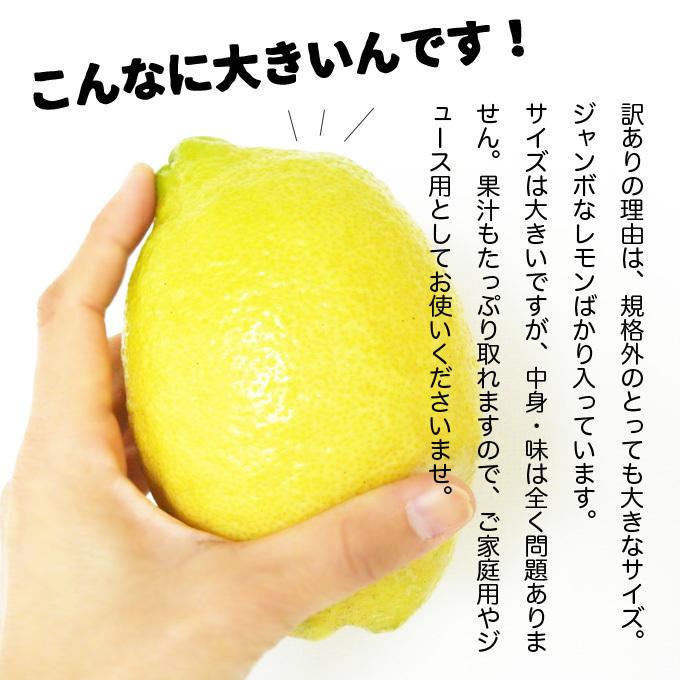 広島県産 訳あり 徳さんのジャンボレモン10kg 国産レモン 送料無料