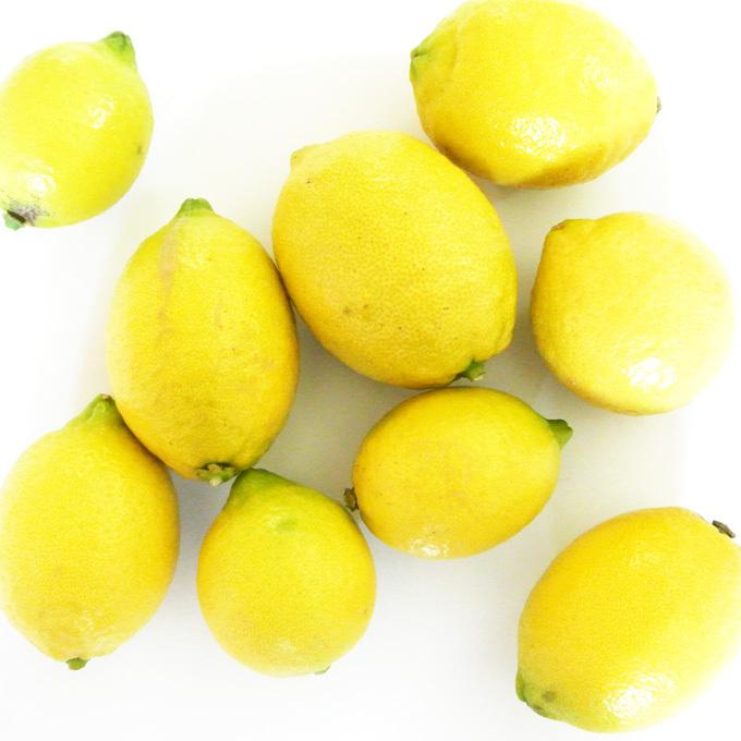 広島県産レモン 10kg 送料無料】特別栽培(安心！広島ブランド） 皮まで安全安心な