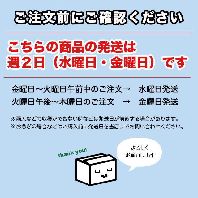 広島県産 徳さんのレモン5kg 国産レモン 送料無料 減農薬 訳あり 防腐 