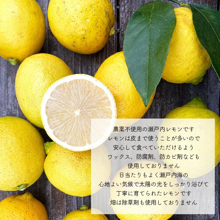 農薬不使用 徳さんの レモン 広島県産 10kg 国産レモン 瀬戸内 農薬不使用 徳さんの レモン 広島県産 10kg 国産レモン 瀬戸内
