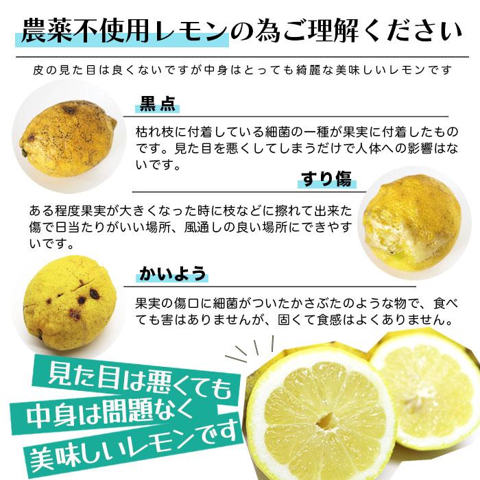 農薬不使用 徳さんの レモン 広島県産 10kg 国産レモン 瀬戸内 農薬不使用 徳さんの レモン 広島県産 10kg 国産レモン 瀬戸内