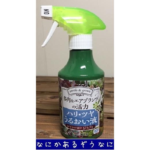 おしゃれで今人気の多肉植物とエアプランツ スプレータイプの活力剤 多肉 エアプランツの活力 ハリ ツヤ うるおい液 300ｍｌ なにかあるぞう 通販 Yahoo ショッピング