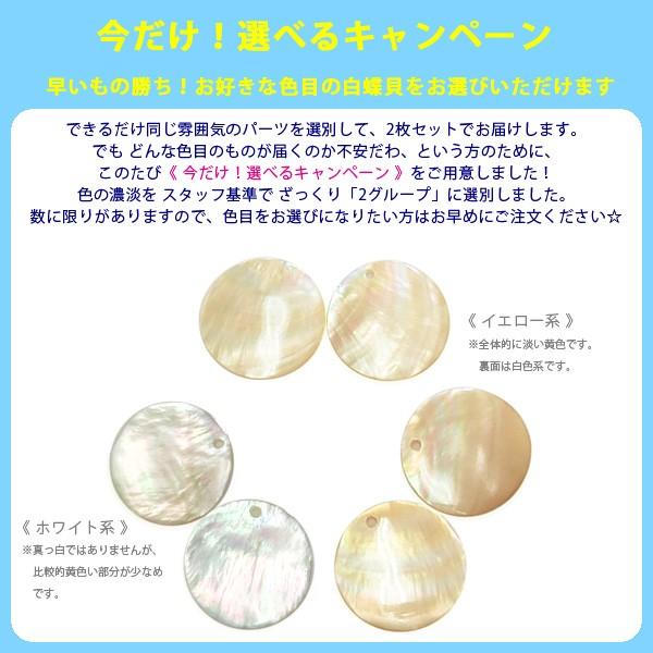 白蝶貝マザーオブパール飾りプレート