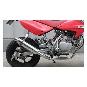 NANKAI ナンカイ AM-05 パワーコンプマフラータイプ5 APE50 XR50 