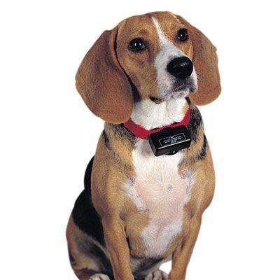 首輪 愛犬 トレーニング しつけ 無駄吠え 安心 自動電流レベル