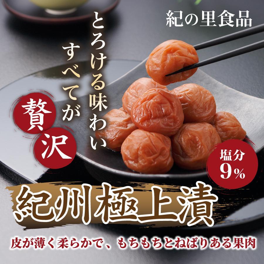 梅干し 地元の人気梅屋さん 紀の里食品 紀州極上漬 梅きらら 300g つぶれ梅 南高梅 ご家庭用やご友人、釣り仲間などにも｜nankiya｜02