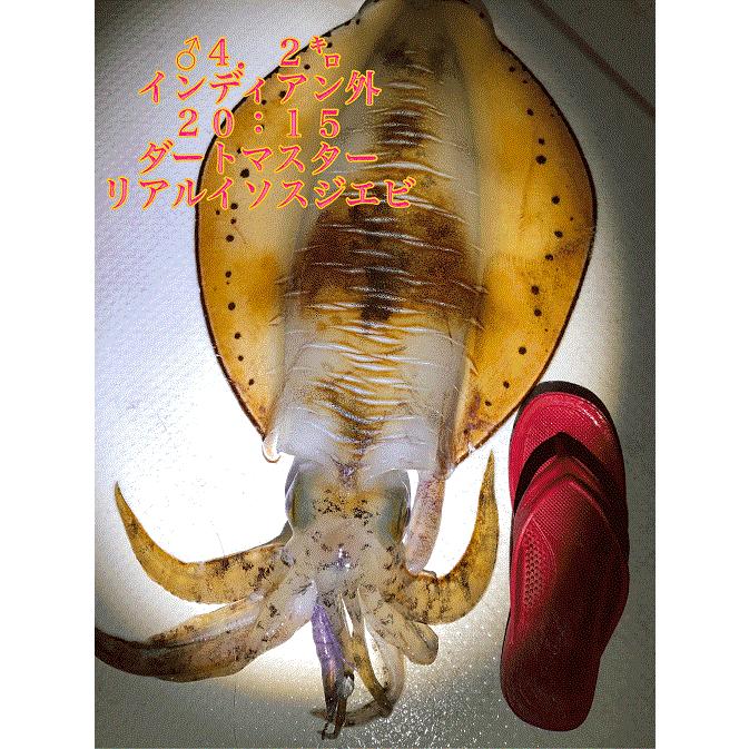 DUEL（デュエル） DUEL EZ-Q ダートマスター TM 3.5号 RISE 21 (爆買