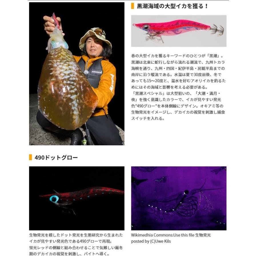 ヤマシタ エギ王 K 黒潮 Sp Ks004 オナガゴールド 3 5号 Egioh K 35 Ks004 釣具の通販 南紀屋 通販 Yahoo ショッピング