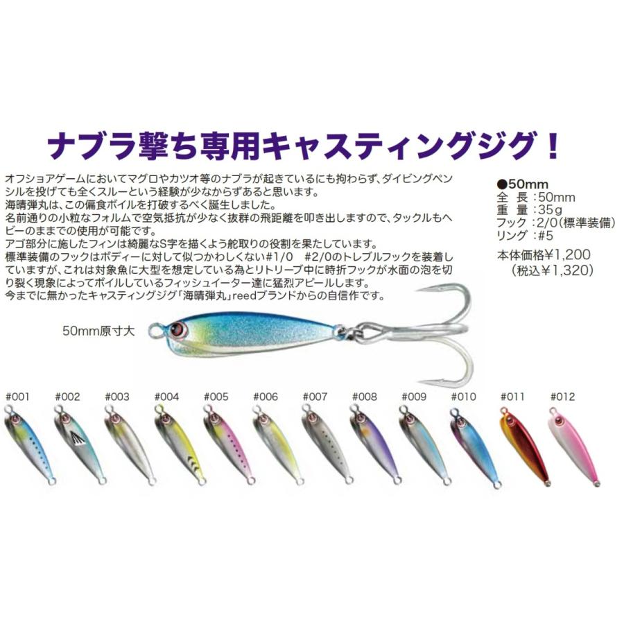 パズデザイン reed 海晴弾丸 Kaisey DANGAN 35g（かいせいだんがん35g