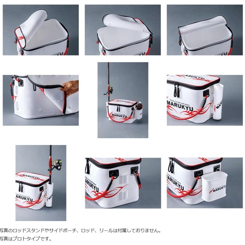 マルキュー（MARUKYU） パワーバッカンセミハード 40TRVI (爆買 