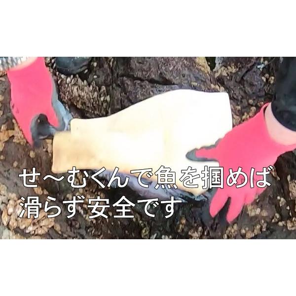 Mr.Ishidai（ミスターイシダイ） せ〜むくん 石鯛専用タオル (爆買