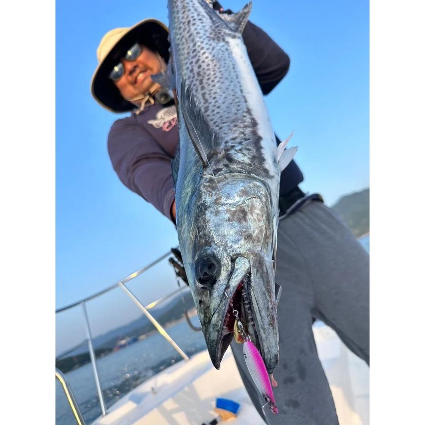 マグバイト イワシジグ こつぶ MBJ07 60g (爆買) : 釣具の通販 南紀屋